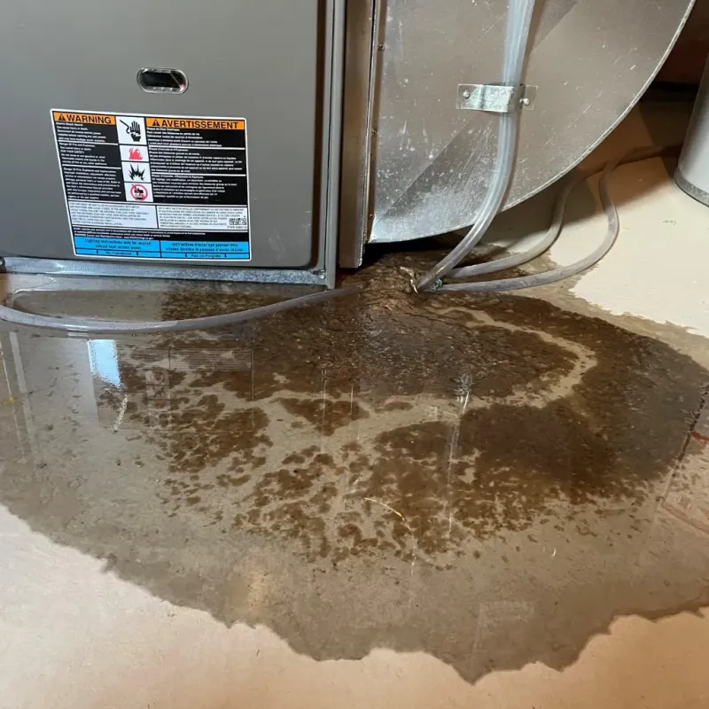 Appliance Leak Cleanup in Ladson, SC